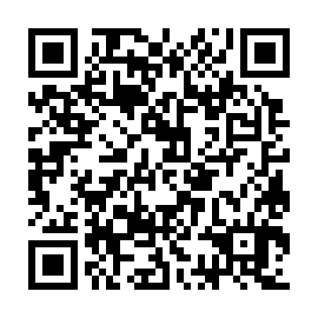 QR code for CCG384
