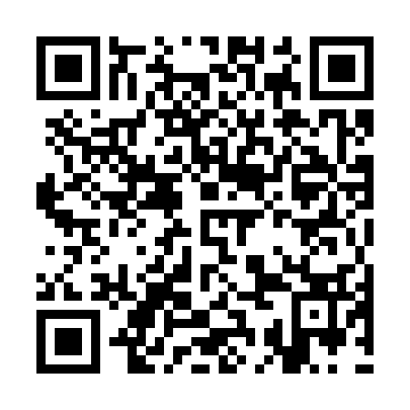 QR code for CCM 333