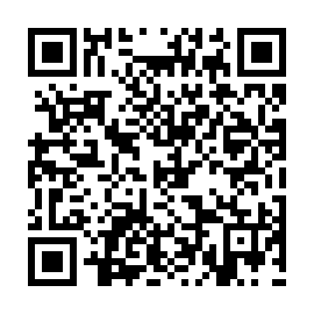 QR code for CDD 295