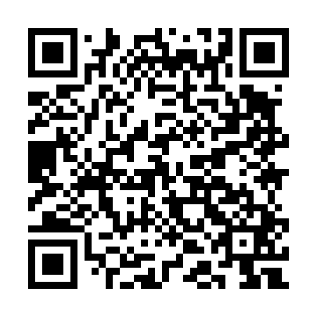 QR code for CDI441