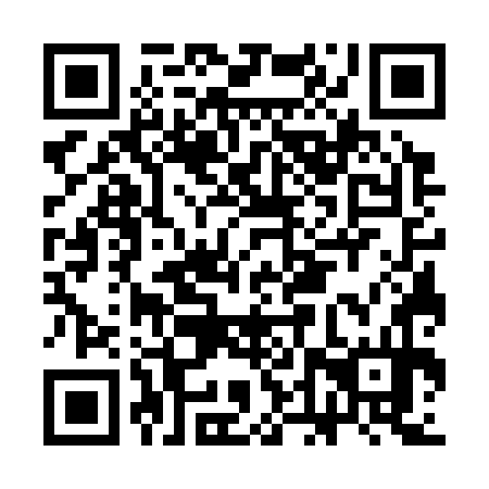QR code for plate CDW 374