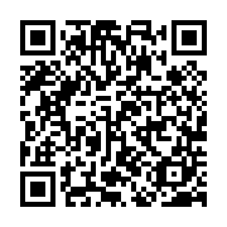 QR code for plate CEL 040