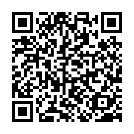 QR code for plate CEL 228