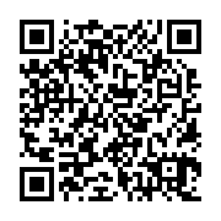 QR code for CEO 225