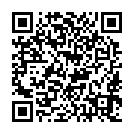 QR code for CEO 393