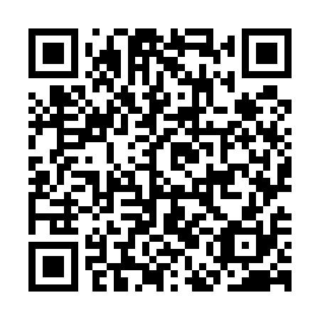 QR code for CEO 510