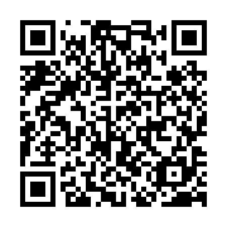 QR code for plate CEO 295