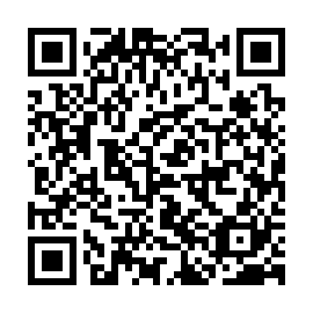 QR code for plate CFE 320