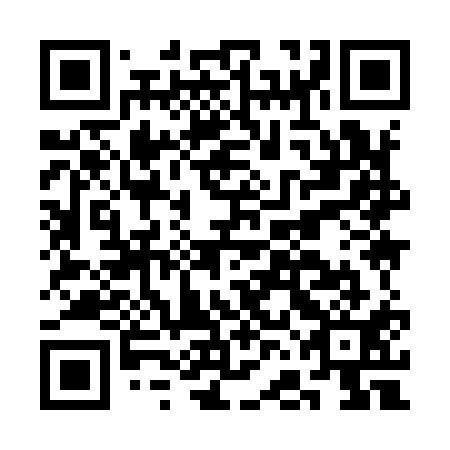 QR code for CFI 911