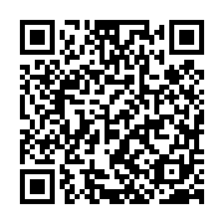 QR code for plate CFZ 451