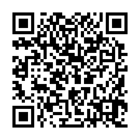 QR code for CGI384