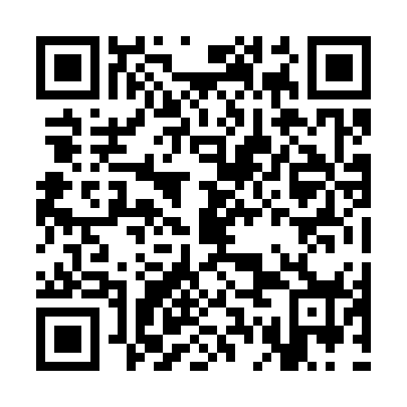 QR code for CGJ 378