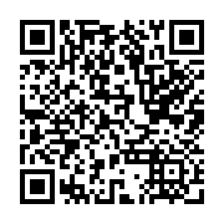 QR code for CGK 333