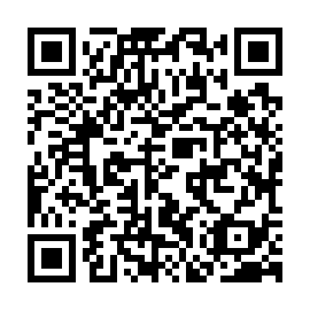 QR code for CGZ 739