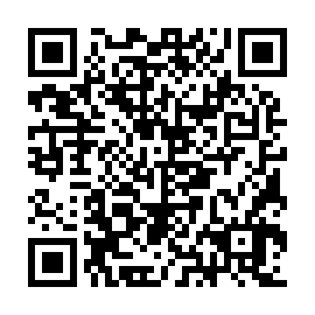 QR code for plate CHE 966