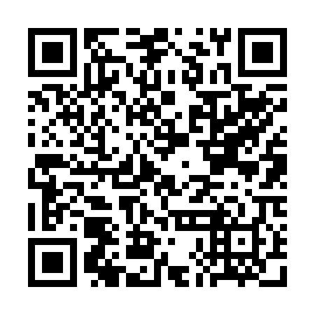 QR code for CHF 208