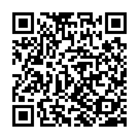 QR code for CHF 729
