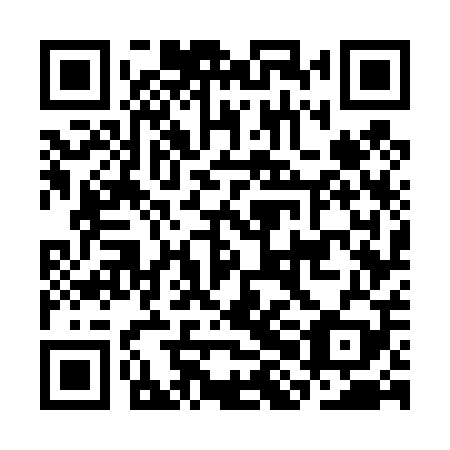 QR code for plate CHG 409