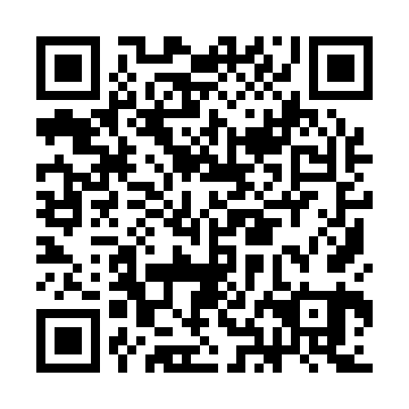 QR code for CHI 161