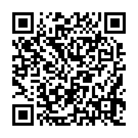 QR code for CHI 276