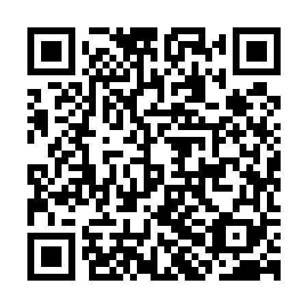QR code for CHI 569