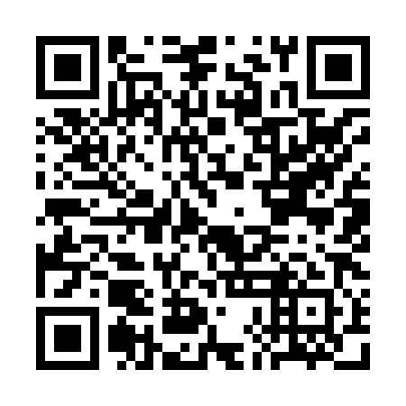 QR code for CHI 881