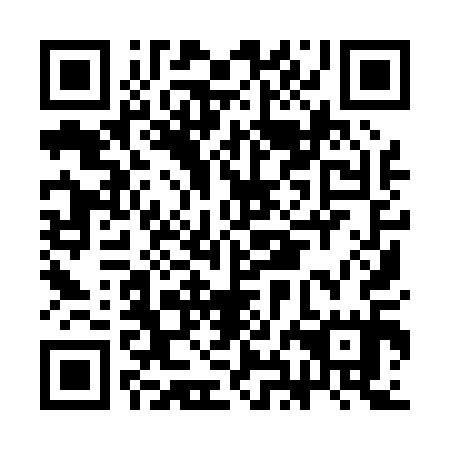 QR code for plate CHI 015