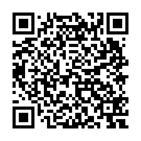 QR code for CHI619