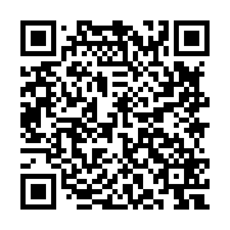 QR code for plate CHI 869