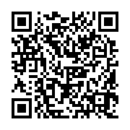 QR code for CHM 382