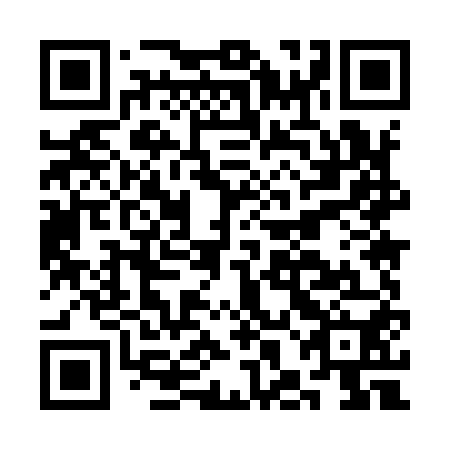 QR code for CHM 950