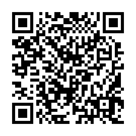 QR code for plate CHM 246