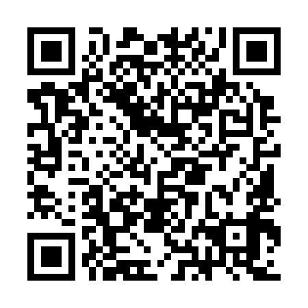QR code for plate CHM 399