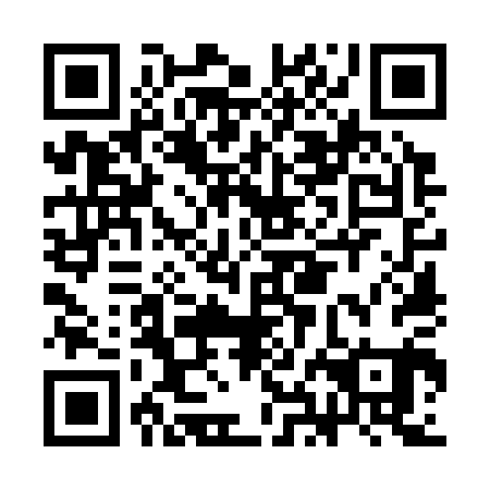 QR code for CHO 301