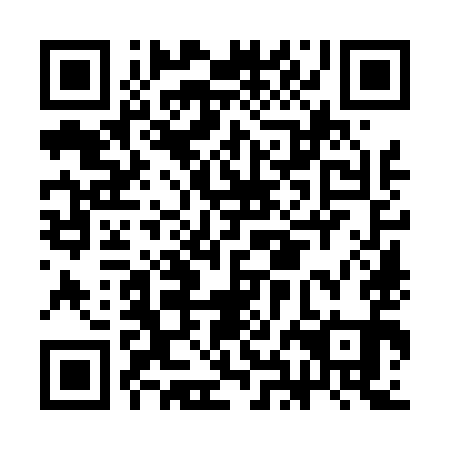QR code for CHO491