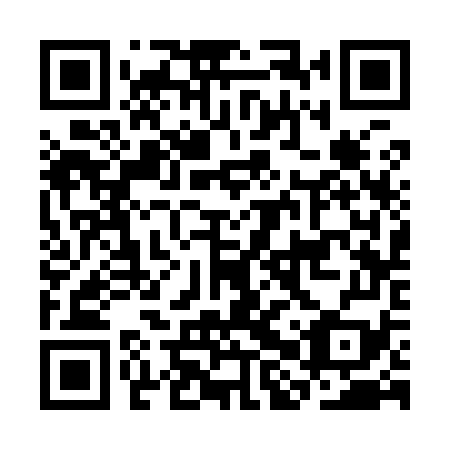 QR code for CHS979