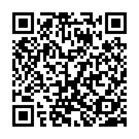QR code for CHW 228