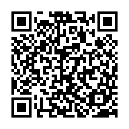 QR code for plate CHY 045