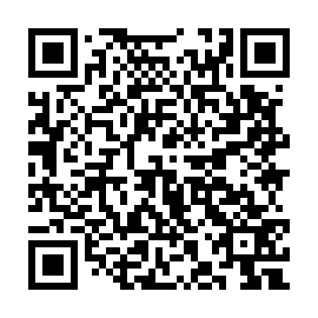 QR code for plate CHY 573