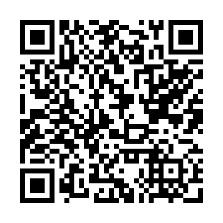 QR code for plate CHZ 270