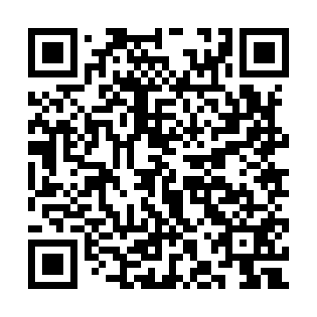 QR code for CHZ951