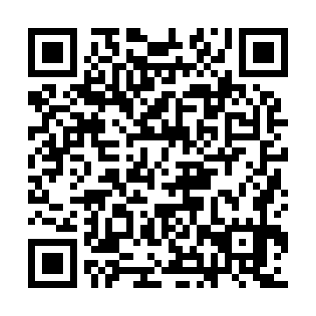 QR code for plate CHZ 975