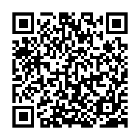 QR code for CIG 317
