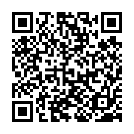 QR code for CIG 613