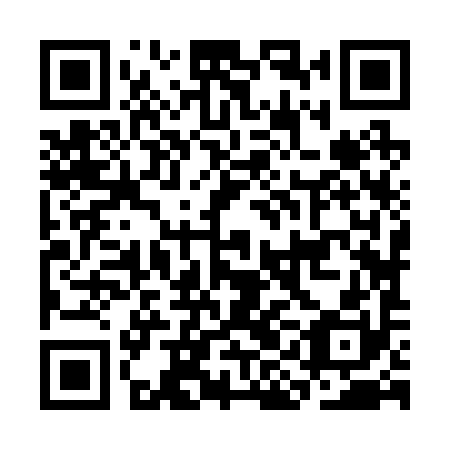 QR code for CIJ 290