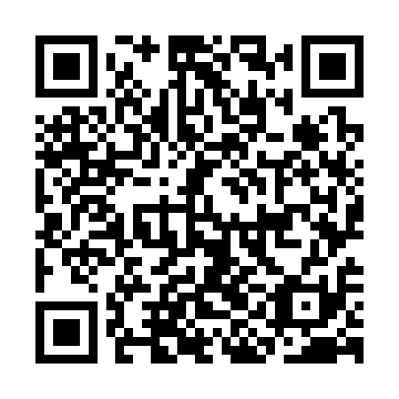 QR code for plate CIO 311
