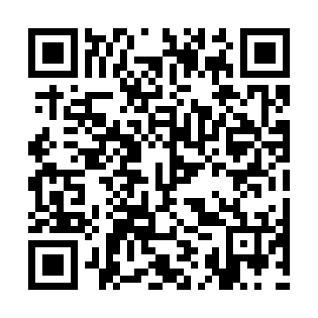 QR code for CIP 376