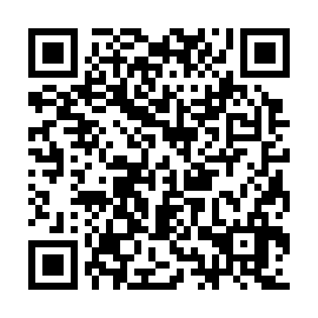 QR code for CIS 336