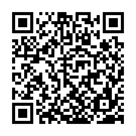 QR code for plate CKG 336