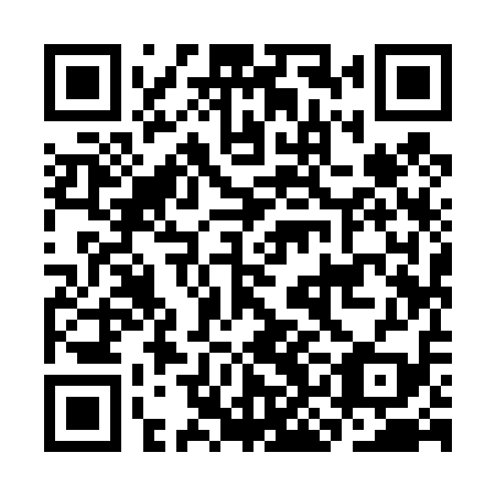 QR code for CKI 419
